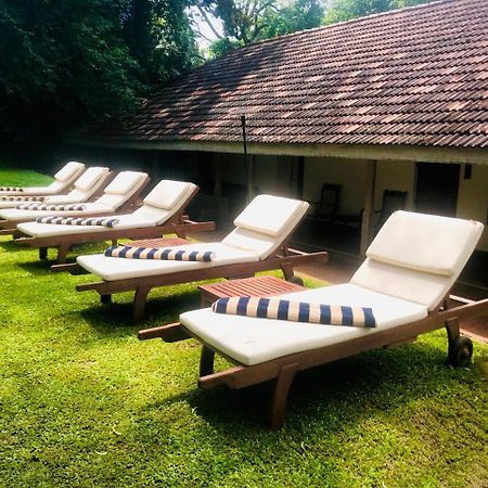 Ekho Sigiriya Hotel Kültér fotó