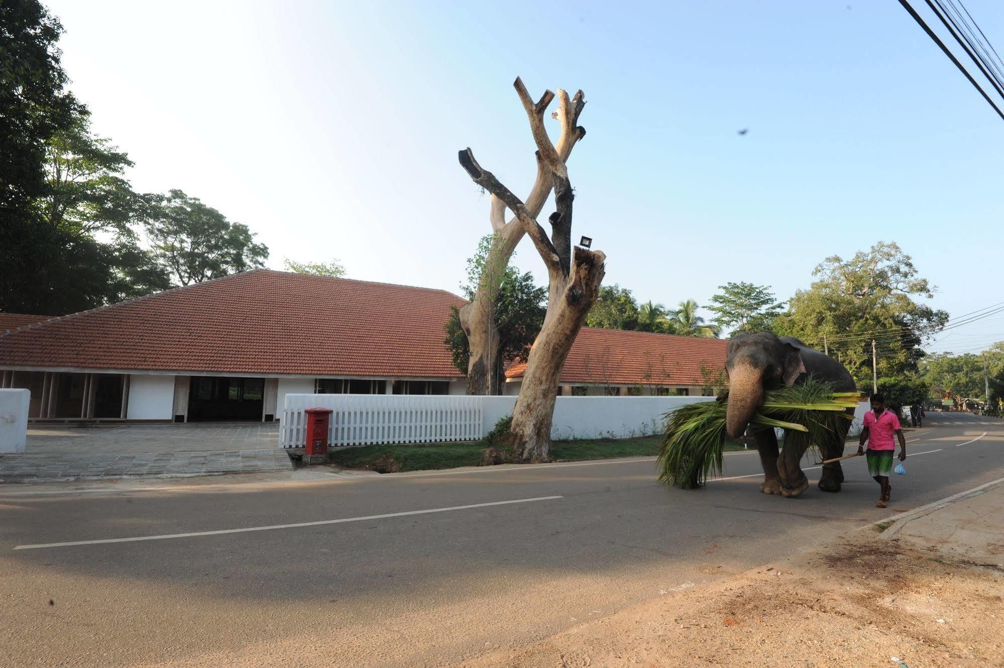 Ekho Sigiriya Hotel Kültér fotó